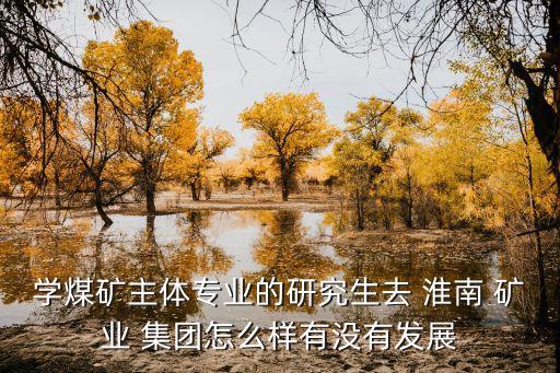 2014淮南礦業(yè)集團(tuán)虧損