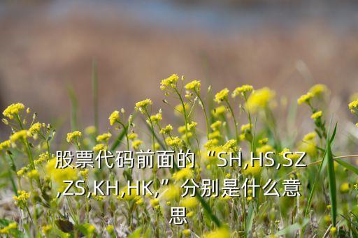  股票代碼前面的“SH,HS,SZ,ZS,KH,HK,”分別是什么意思