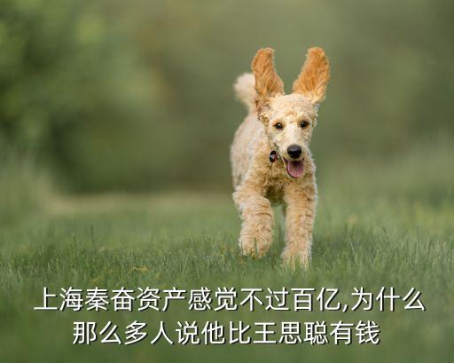  上海秦奮資產(chǎn)感覺(jué)不過(guò)百億,為什么那么多人說(shuō)他比王思聰有錢