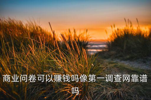 商業(yè)問(wèn)卷可以賺錢(qián)嗎像第一調(diào)查網(wǎng)靠譜嗎