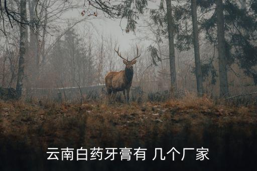 云南白藥牙膏有 幾個(gè)廠家