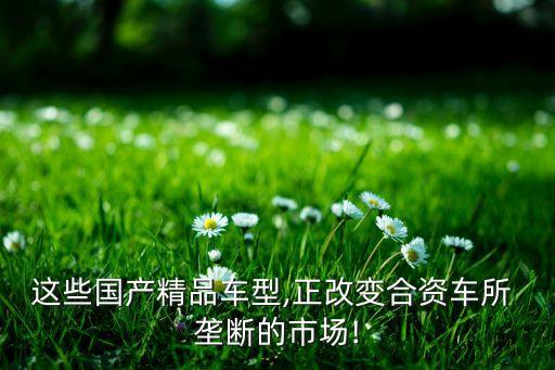 這些國產(chǎn)精品車型,正改變合資車所 壟斷的市場(chǎng)!
