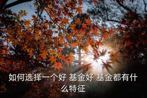 如何選擇一個(gè)好 基金好 基金都有什么特征