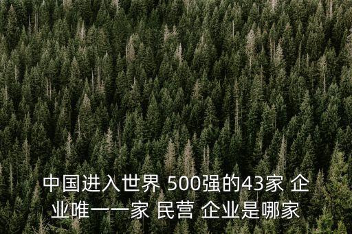 2012年中國(guó)民營(yíng)企業(yè)500強(qiáng),2023年民營(yíng)企業(yè)500強(qiáng)