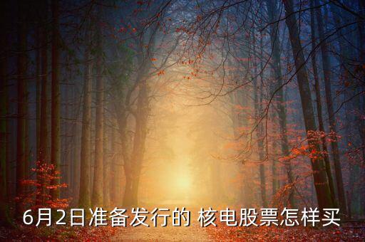 中國核電申購代碼
