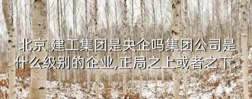  北京 建工集團(tuán)是央企嗎集團(tuán)公司是什么級(jí)別的企業(yè),正局之上或者之下...