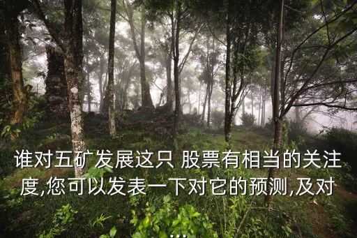 誰對(duì)五礦發(fā)展這只 股票有相當(dāng)?shù)年P(guān)注度,您可以發(fā)表一下對(duì)它的預(yù)測(cè),及對(duì)...
