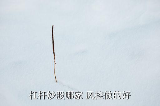 股票風(fēng)控表格,股票如何做好風(fēng)控