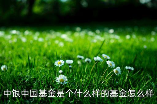 富國(guó)天合穩(wěn)健股票