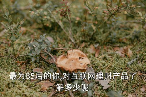 最為85后的你,對互聯(lián)網(wǎng)理財產(chǎn)品了解多少呢