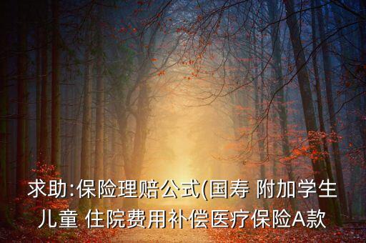 求助:保險理賠公式(國壽 附加學(xué)生兒童 住院費用補(bǔ)償醫(yī)療保險A款