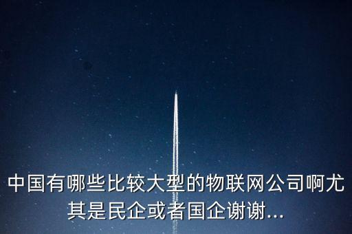 中國有哪些比較大型的物聯(lián)網(wǎng)公司啊尤其是民企或者國企謝謝...