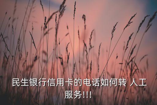 民生銀行人工客服