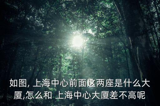 上海的金融中心是哪里,上海bfc金融中心
