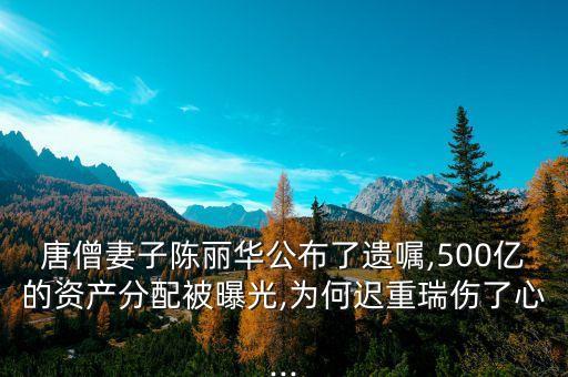中國富豪遺產,四合院富豪遺產開始