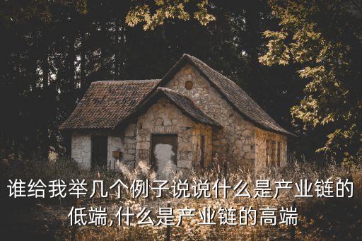誰(shuí)給我舉幾個(gè)例子說(shuō)說(shuō)什么是產(chǎn)業(yè)鏈的 低端,什么是產(chǎn)業(yè)鏈的高端