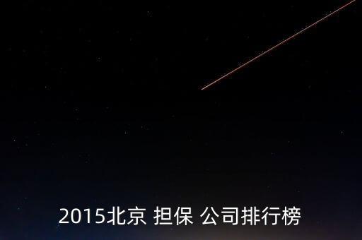 全國擔(dān)保公司