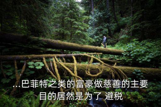 ...巴菲特之類的富豪做慈善的主要目的居然是為了 避稅