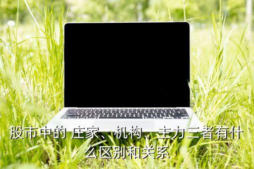 股市中的 莊家、機(jī)構(gòu)、主力三者有什么區(qū)別和關(guān)系