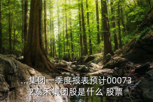 ...集團(tuán)一季度報表預(yù)計000732泰禾集團(tuán)股是什么 股票