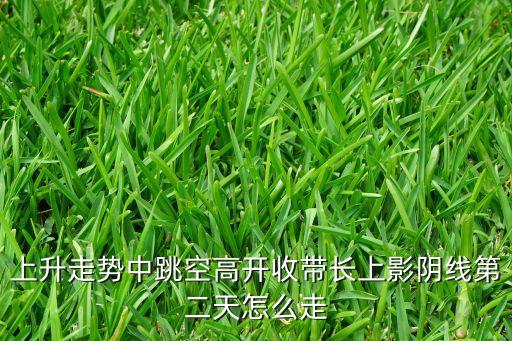 股票假摔