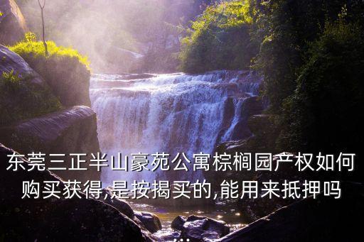 東莞三正半山豪苑公寓棕櫚園產(chǎn)權(quán)如何購(gòu)買獲得,是按揭買的,能用來(lái)抵押?jiǎn)?..