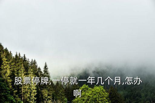 股票停牌,一停就一年幾個(gè)月,怎辦啊