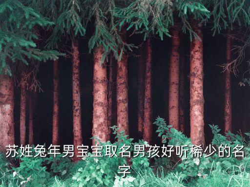 成都弘蘇投資,成都菁弘投資集團胡