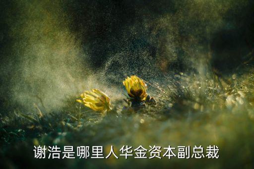 華發(fā)投資股份公司,華發(fā)股份公司是國企嗎