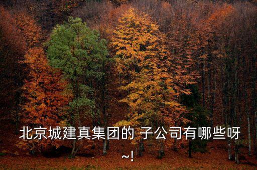  北京城建真集團(tuán)的 子公司有哪些呀~!