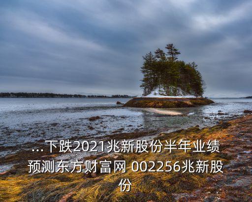 ...下跌2021兆新股份半年業(yè)績預(yù)測東方財富網(wǎng) 002256兆新股份