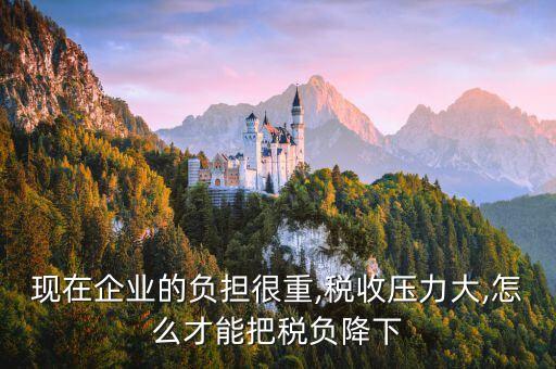 現(xiàn)在企業(yè)的負(fù)擔(dān)很重,稅收壓力大,怎么才能把稅負(fù)降下