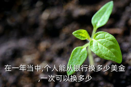 在一年當(dāng)中,個(gè)人能從銀行換多少美金,一次可以換多少