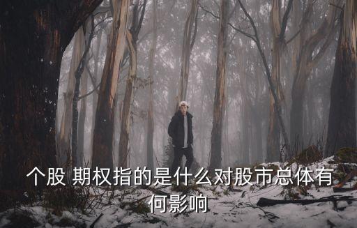  個股 期權(quán)指的是什么對股市總體有何影響