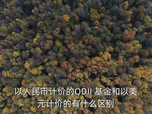 以人民幣計(jì)價(jià)的QDII 基金和以美元計(jì)價(jià)的有什么區(qū)別