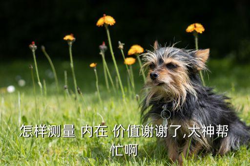 如何評估一家公司的內(nèi)在價值,你如何評估一家公司的文化