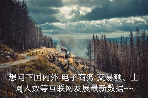 想問下國內(nèi)外 電子商務 交易額、上網(wǎng)人數(shù)等互聯(lián)網(wǎng)發(fā)展最新數(shù)據(jù)~~