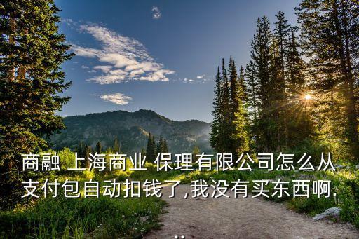 商融 上海商業(yè) 保理有限公司怎么從支付包自動扣錢了,我沒有買東西啊...