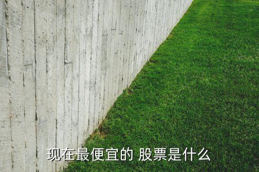 最低股票價(jià)格是什么股,股票最低多少股可以買