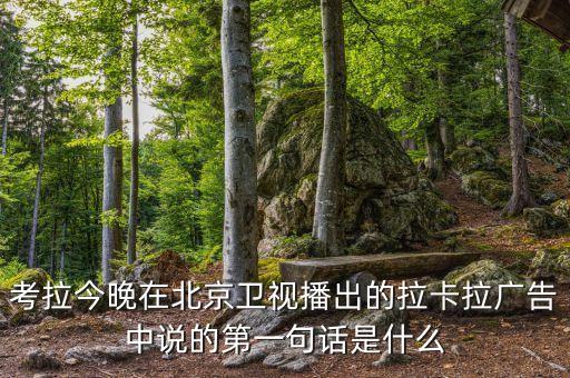 北京藍色火焰娛樂文化有限公司,北練娛樂文化(北京)有限公司