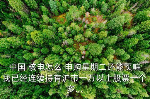 中國 核電怎么 申購星期二還能買嘛我已經(jīng)連續(xù)持有滬市一萬以上股票一個多...