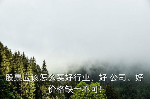 股票應(yīng)該怎么買好行業(yè)、好 公司、好價(jià)格缺一不可!