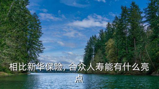 相比新華保險, 合眾人壽能有什么亮點(diǎn)