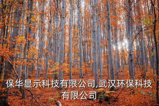 武漢保華顯示科技有限公司,武漢環(huán)?？萍加邢薰?/></a></span><span id=