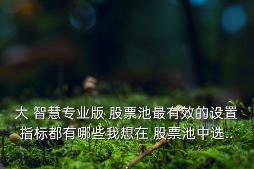 大 智慧專業(yè)版 股票池最有效的設(shè)置指標都有哪些我想在 股票池中選...