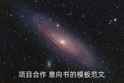 項目合作 意向書的模板范文