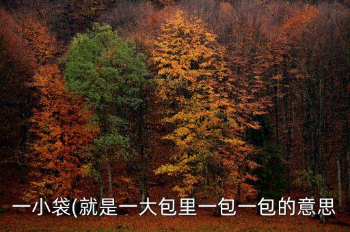 一小袋(就是一大包里一包一包的意思