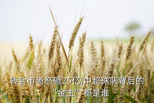 綠地集團企業(yè)性質(zhì),平安集團企業(yè)性質(zhì)