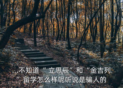 立思辰公司怎么樣,徐州立思辰大語(yǔ)文怎么樣