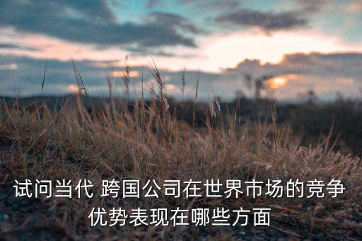 試問(wèn)當(dāng)代 跨國(guó)公司在世界市場(chǎng)的競(jìng)爭(zhēng)優(yōu)勢(shì)表現(xiàn)在哪些方面